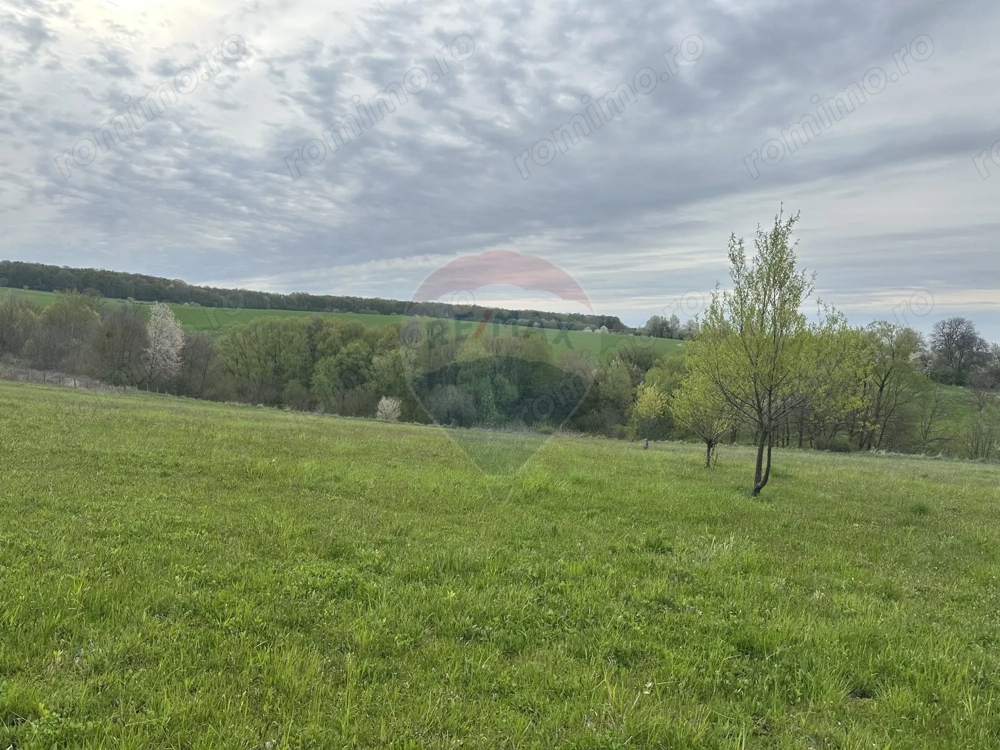Teren 3,000mp Oslobeni / Strada Oslobeni punct GRADINA