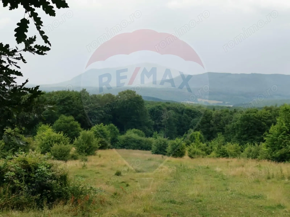 Teren ideal pentru glamping în Vlădeni, aproape de Brașov