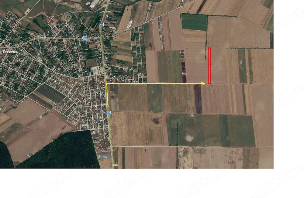 1ha intravilan Dascalu - Creata T66, 4eur mp