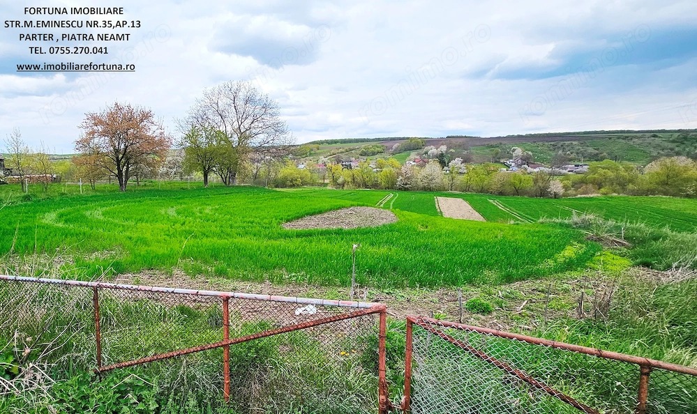 Teren intravilan 3550 mp, cadru natural pitoresc, apa si padure- Negresti