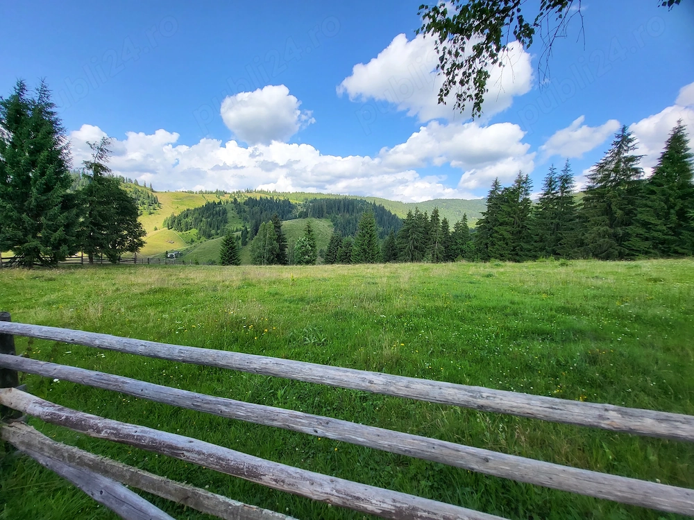 Se vinde Teren In Ortoaia