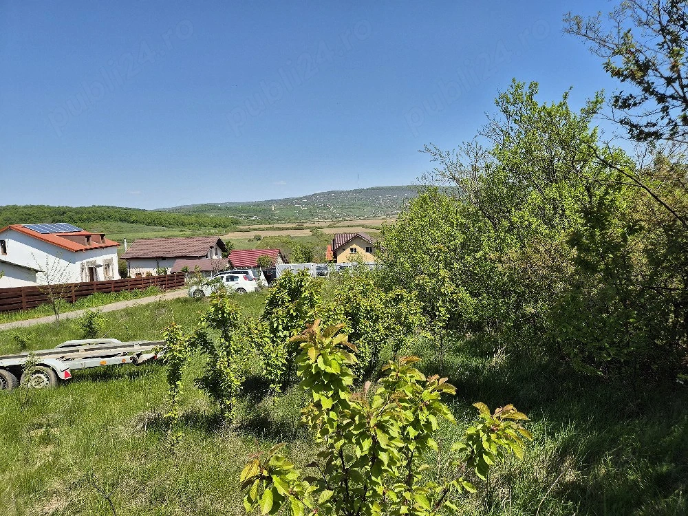 Teren intravilan (loc de casa) 