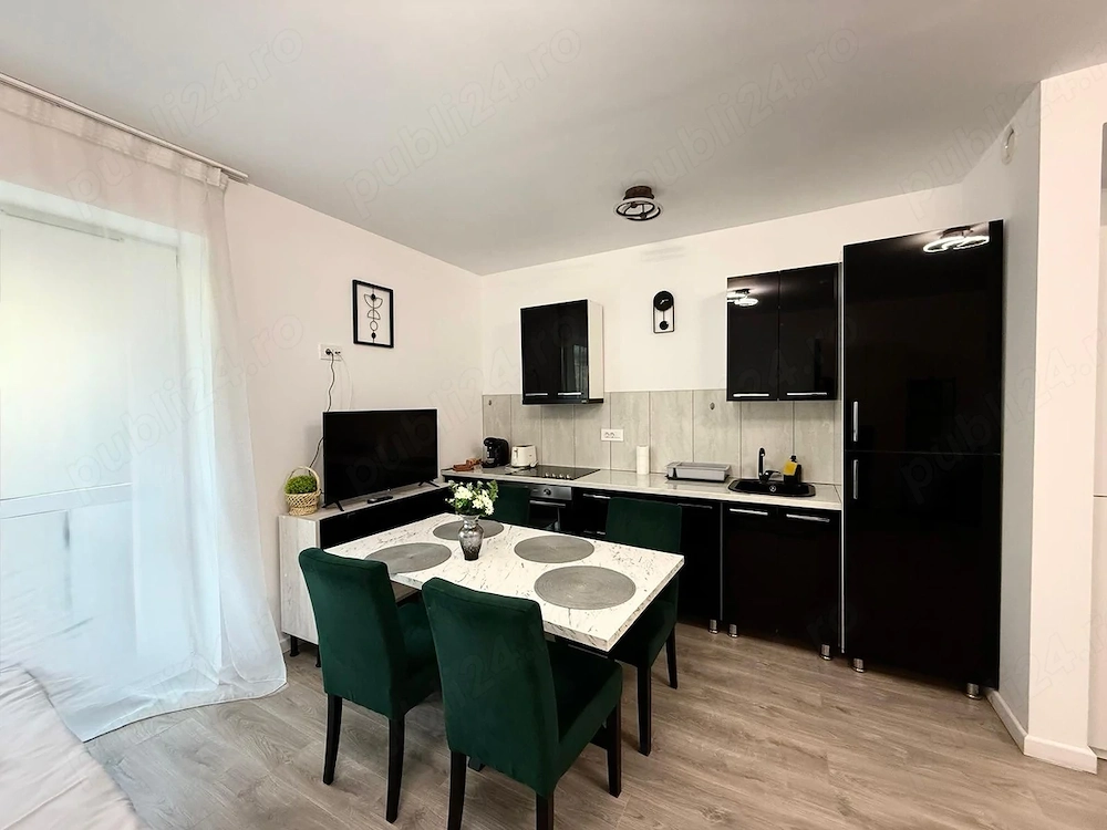 Apartament tip-Studio Sinaia