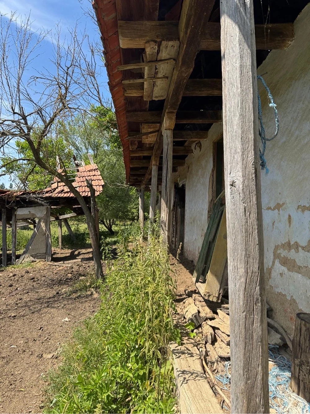 Casa Teren Radmanesti, Timis, Recreere