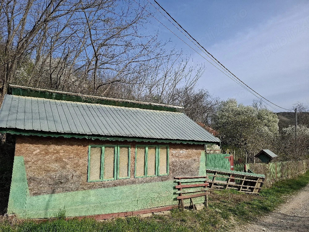 Teren cu salcami si faneata 