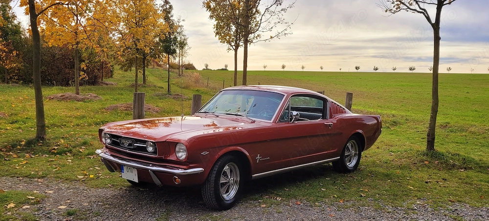 Ford Mustang Fastback 1966 V8 Automat