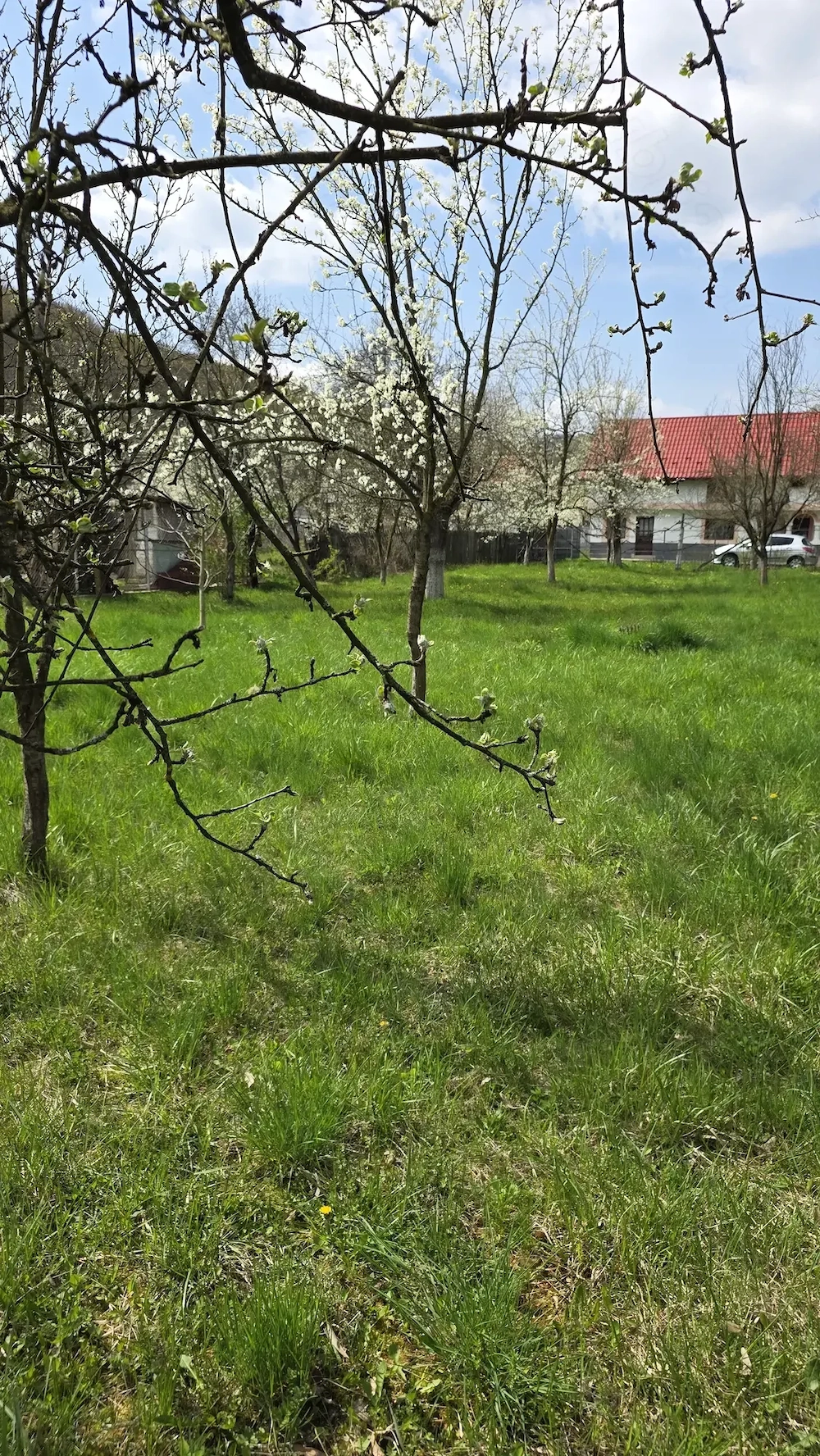 Teren intravilan 1048mp persoana fizica