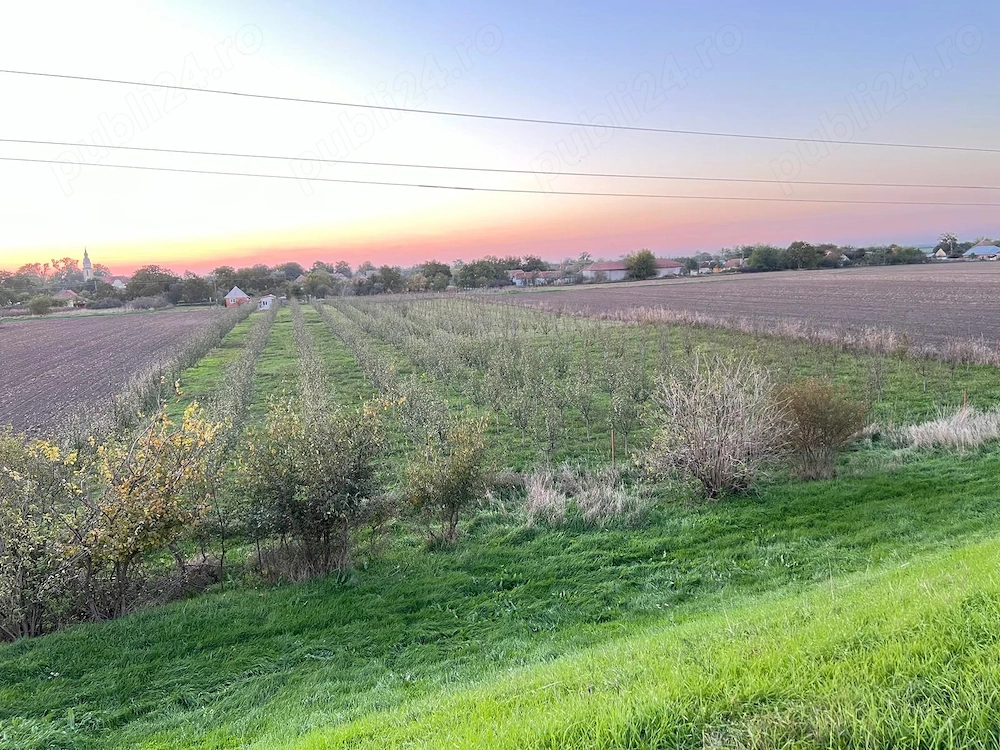 Livadă de vânzare   teren intravilan 7500mp Crai Nou (com.Giulvăz) 