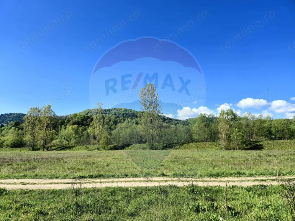 Teren 2,786mp Sighetu Marmatiei / Strada Zimbrului
