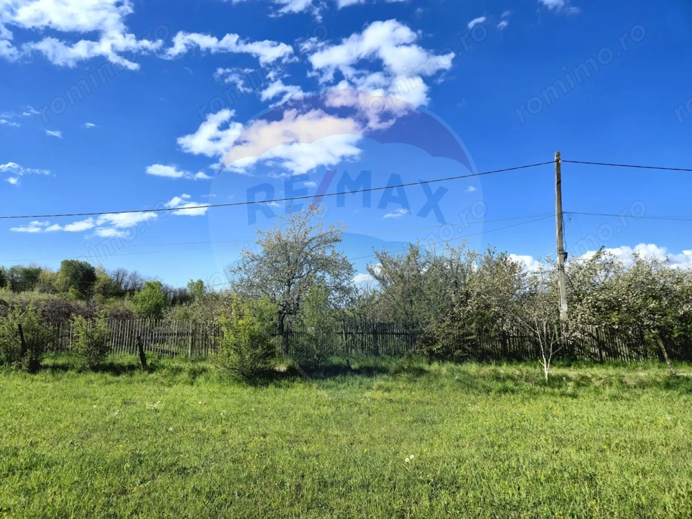 Teren 6,458mp Sighetu Marmatiei / Strada Doboies