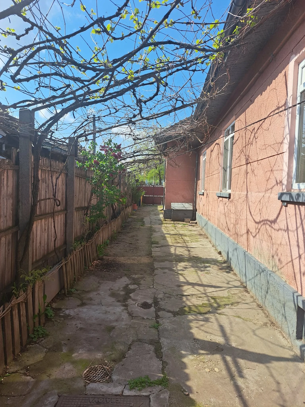 Casa str Cîmpia Islaz