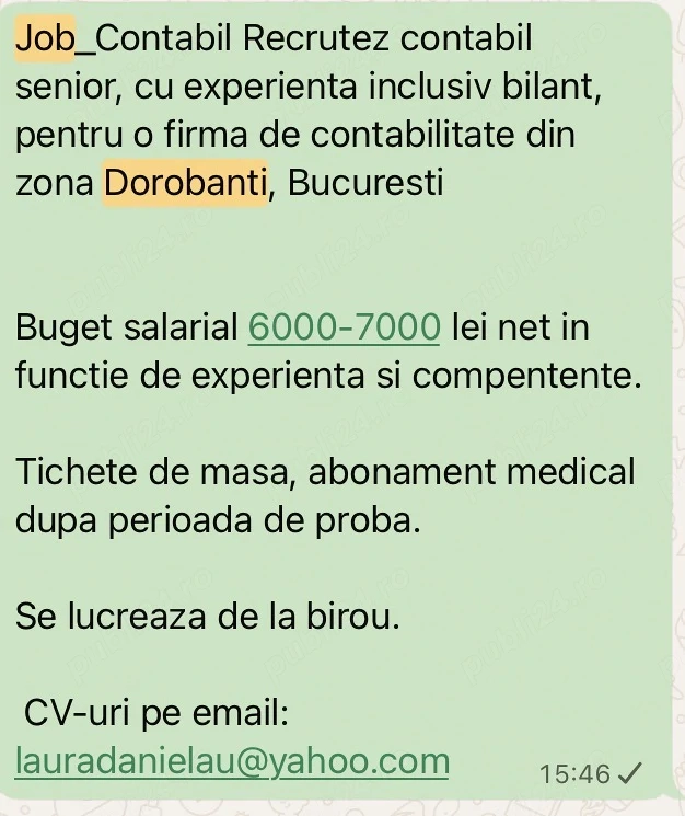 Job_Contabil Senior _Dorobabti