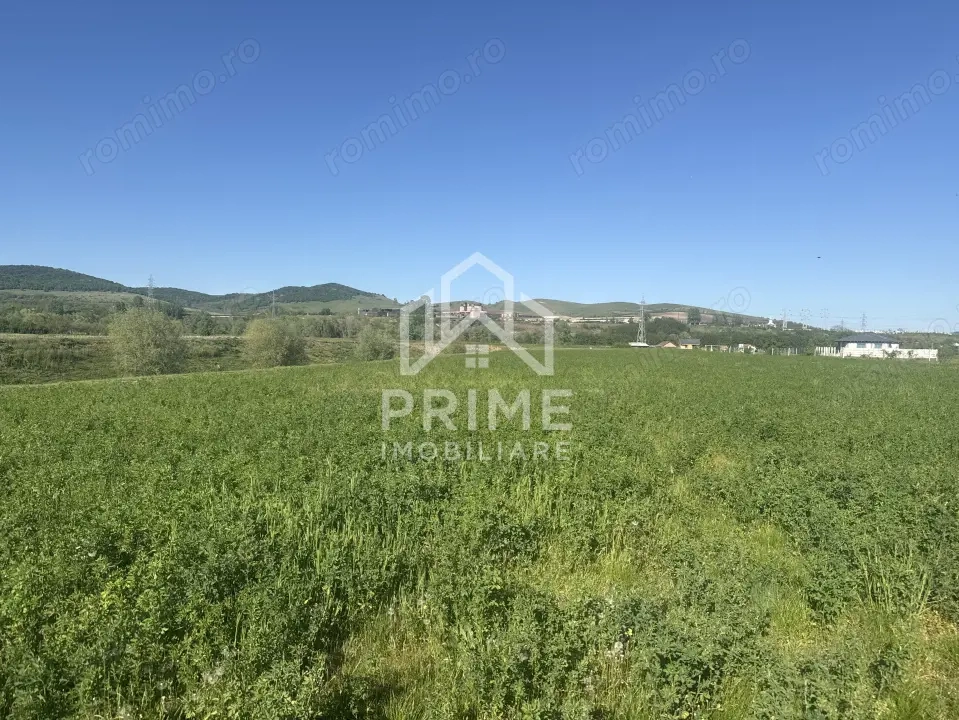 Teren intravilan de vânzare | 5800 MP – Zona Orizont