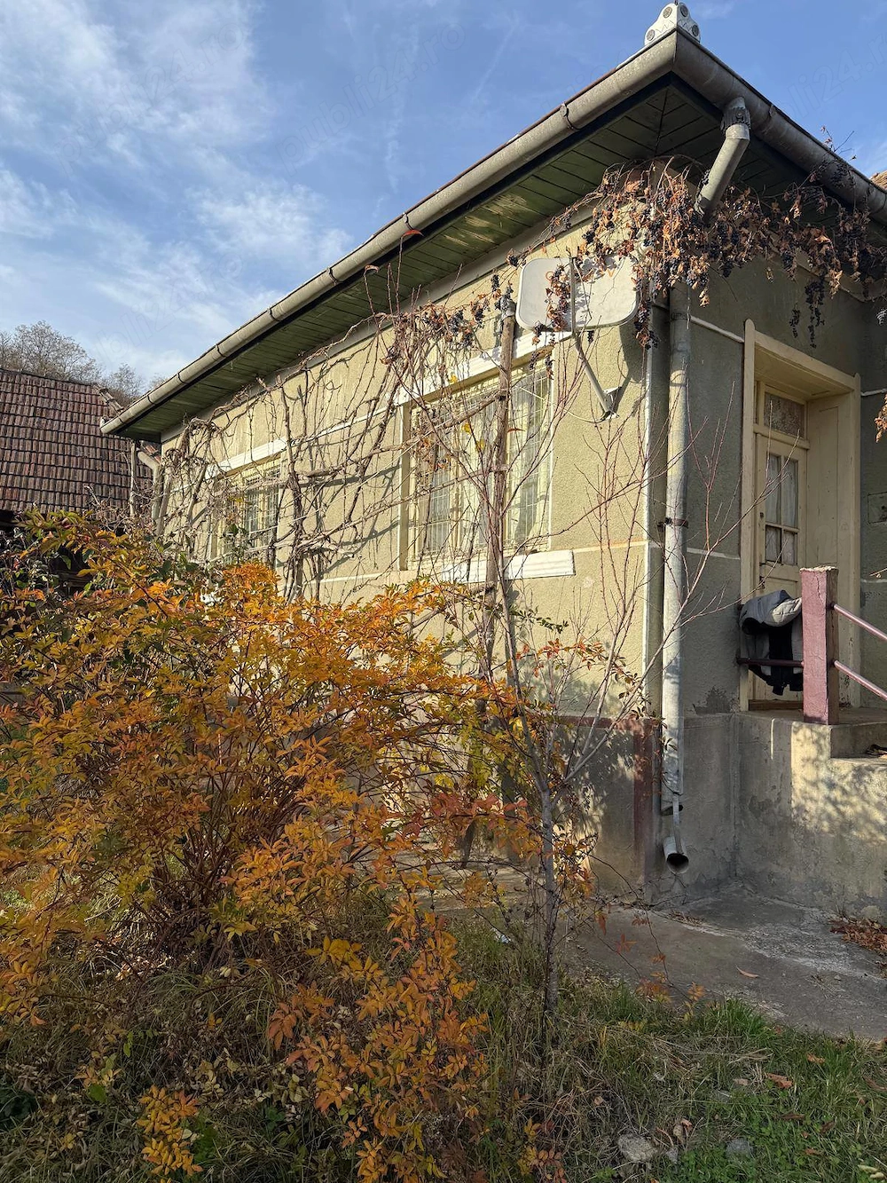Casa de vanzare, Dragu