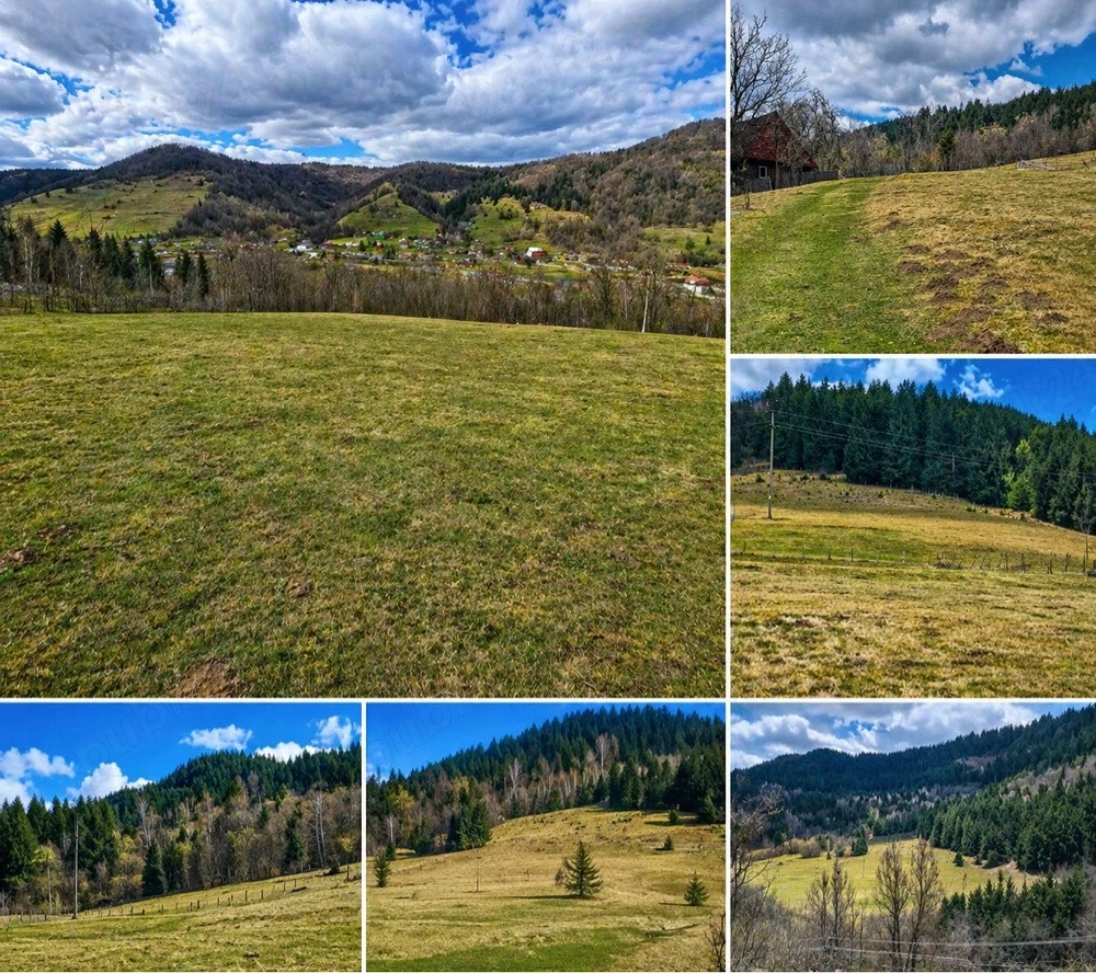    Teren intravilan 6.260 mp Vidra Alba   lângă Arieș | utilități | se poate împărți