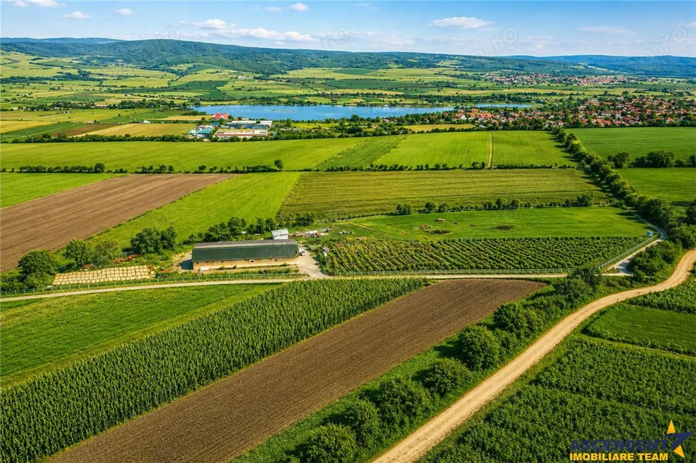 FILM! 18.000 mp, extravilan, agricol+ constructii:ferma,investitii agricole, Rotbav, Brasov