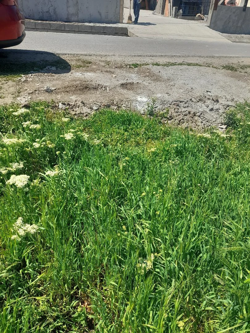 Vand vatra de casa in intravilanul satului Foltesti