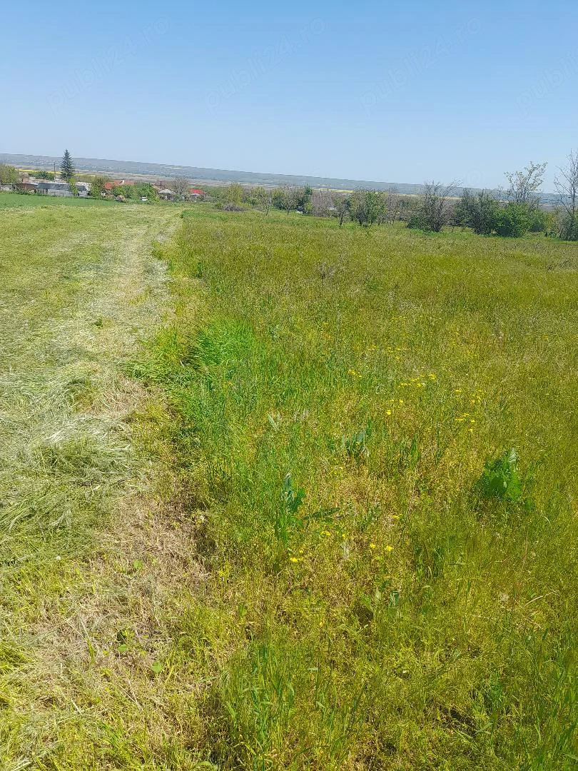 Vand vatra de casa