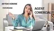 Agent comercial  - jobul nu necesita deplasari 