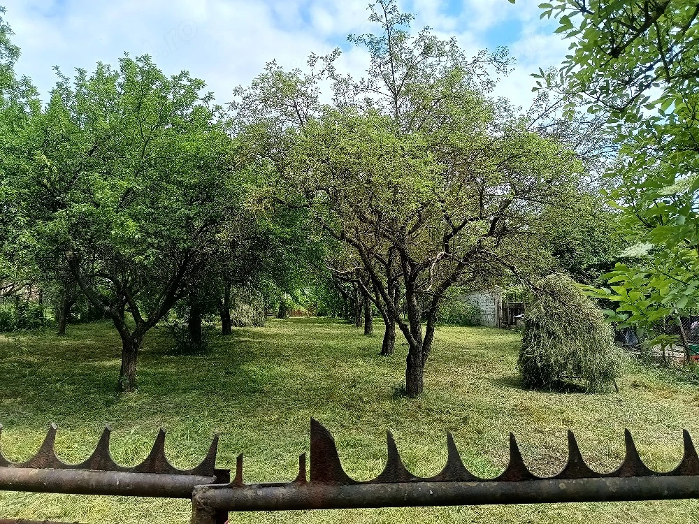 Teren de vanzare