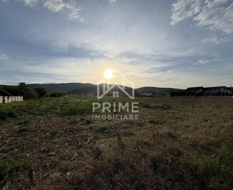 Teren intravilan | 4088 MP | MICEȘTI | TOATE UTILITĂȚILE | OPORTUNITATE 