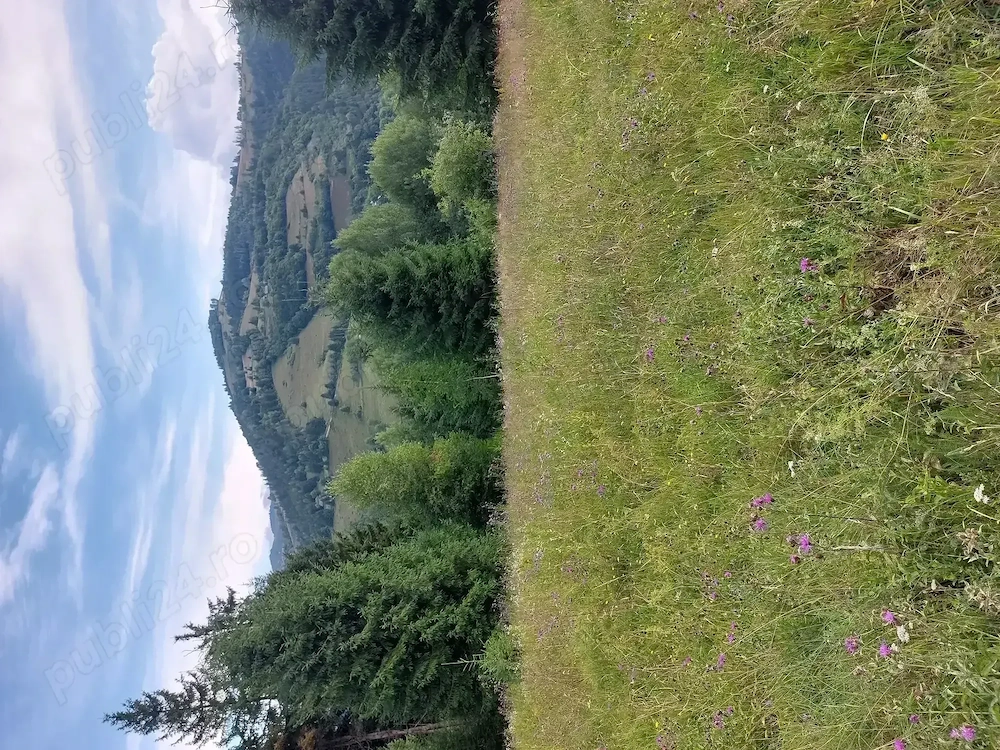 teren de vanzare in Comuna Vadu Motilor 5000mp pret 2,5euro mp