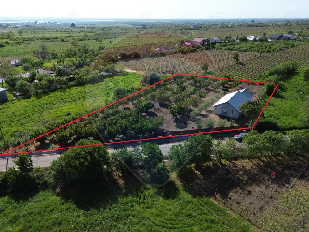 Casa cu 3094mp livada Cotesti