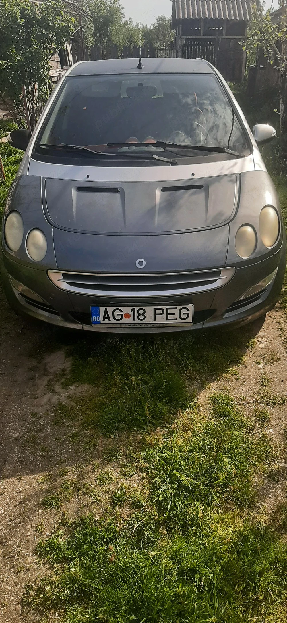 zmart forfour 1.1 Benzina 