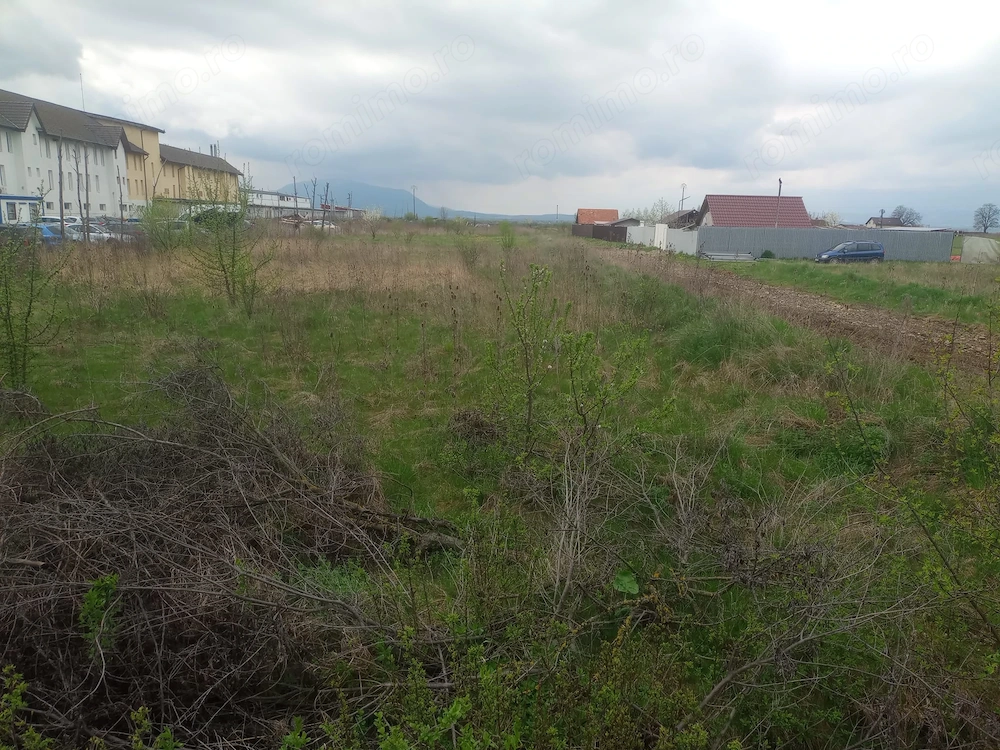 Teren intravilan Sanpetru 900 mp