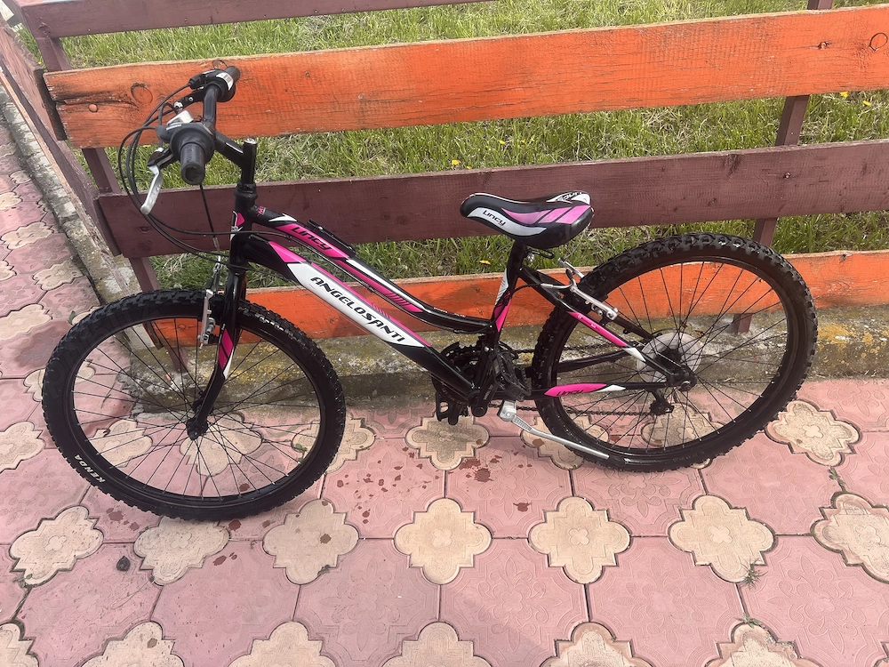Bicicleta fete 24 