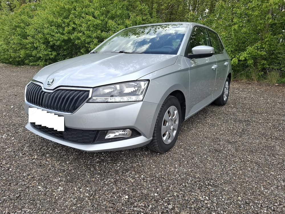 Skoda Fabia 2020 benzina 6650 euro