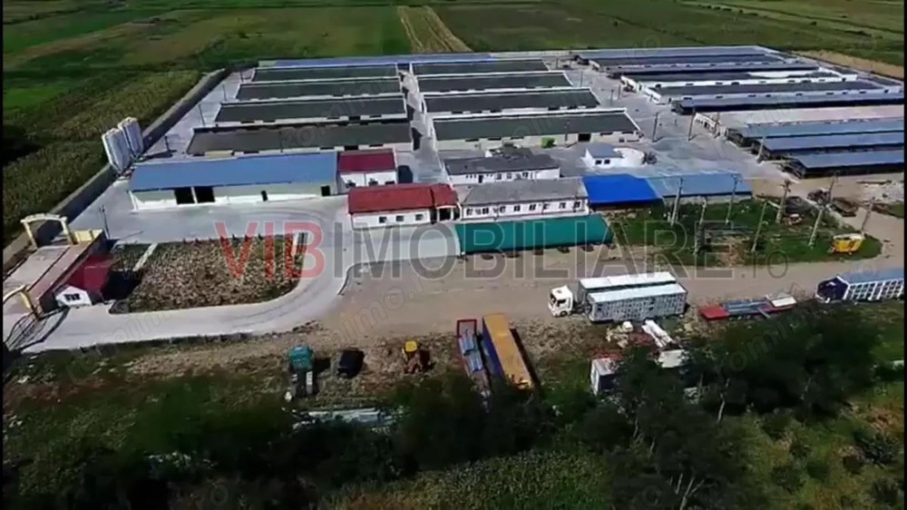 *Fermă modernă pentru export miei | 6 ha | Standarde europene | Aproape de Brăila*
