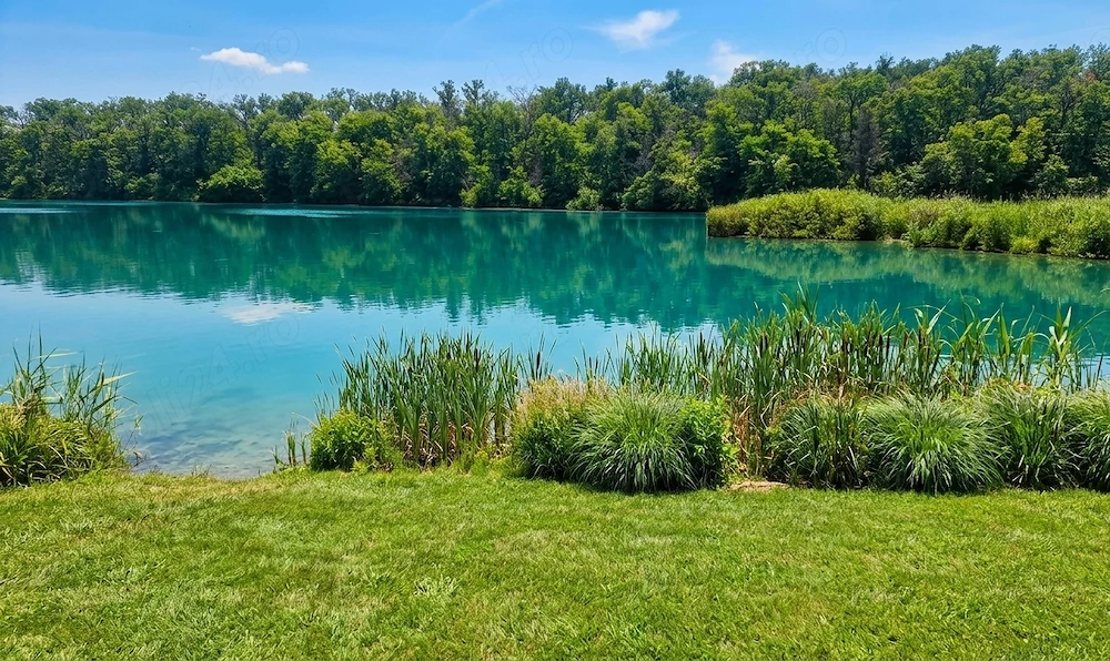 Teren 1 880 mp in branesti | padure lac | str. soarelui