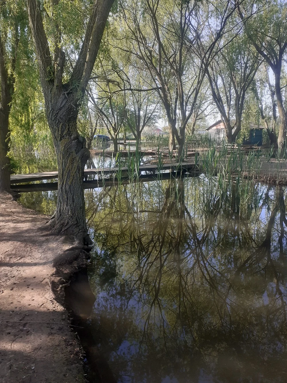 vand teren intravilan