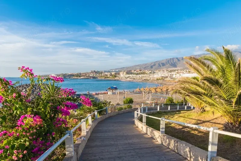 Angajez Dansatoare in Tenerife Spania
