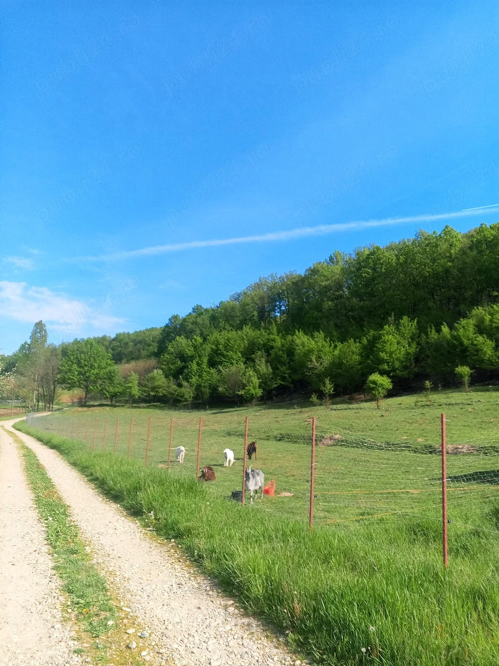 Vand teren comuna Drăganu 