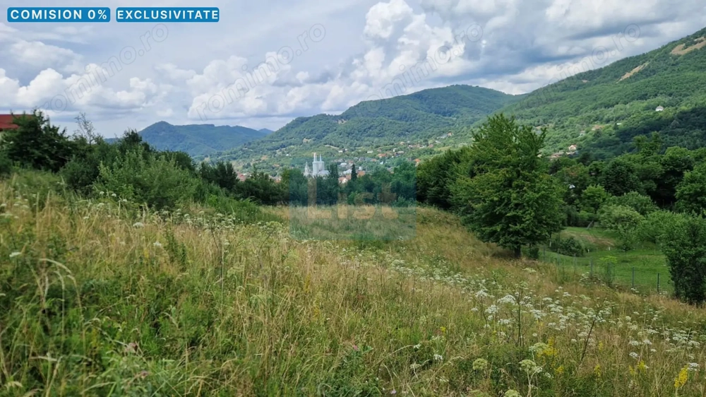 Teren de vanzare in Baia Sprie: 52 Ari, Parcelabil, Comision 0%