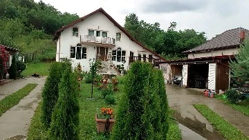 Vila in sat toplita com malureni arges