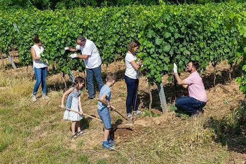 Angajăm Cuplu pentru Muncă la Vie   Austria