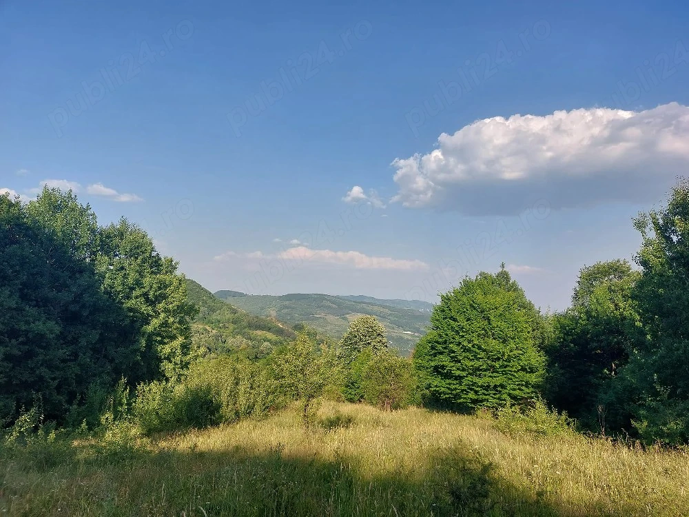 Cabană și teren 1800 m intravilan  la  munte