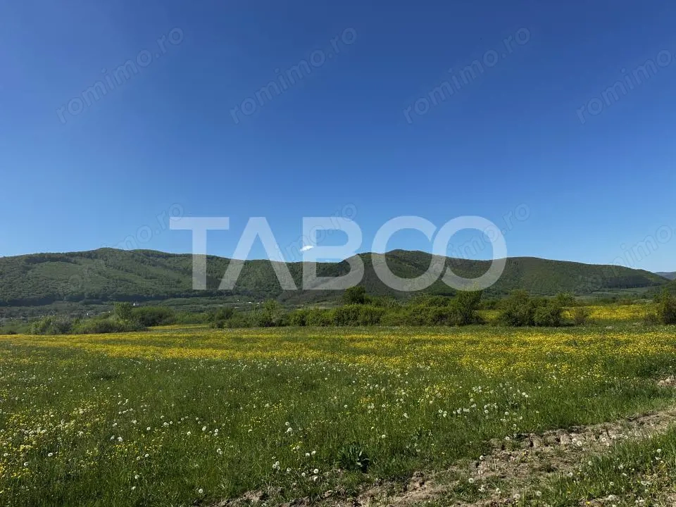 Teren intravilan pretabil cabana cu vedere la munti in Poplaca
