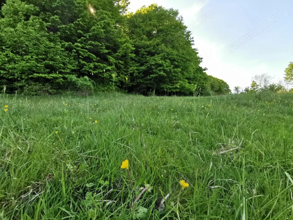 Oportunitate de Investiție - Teren de Basm in Bascov. DIRECT PROPRIETAR.
