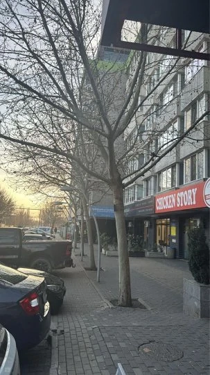 brancoveanu luica bloc nou libera iunie