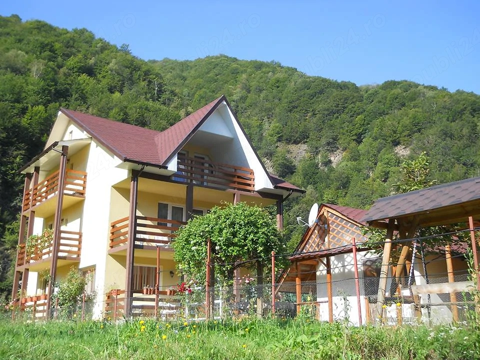 Casa tip vila de vanzare