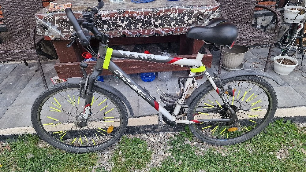 bicicleta  