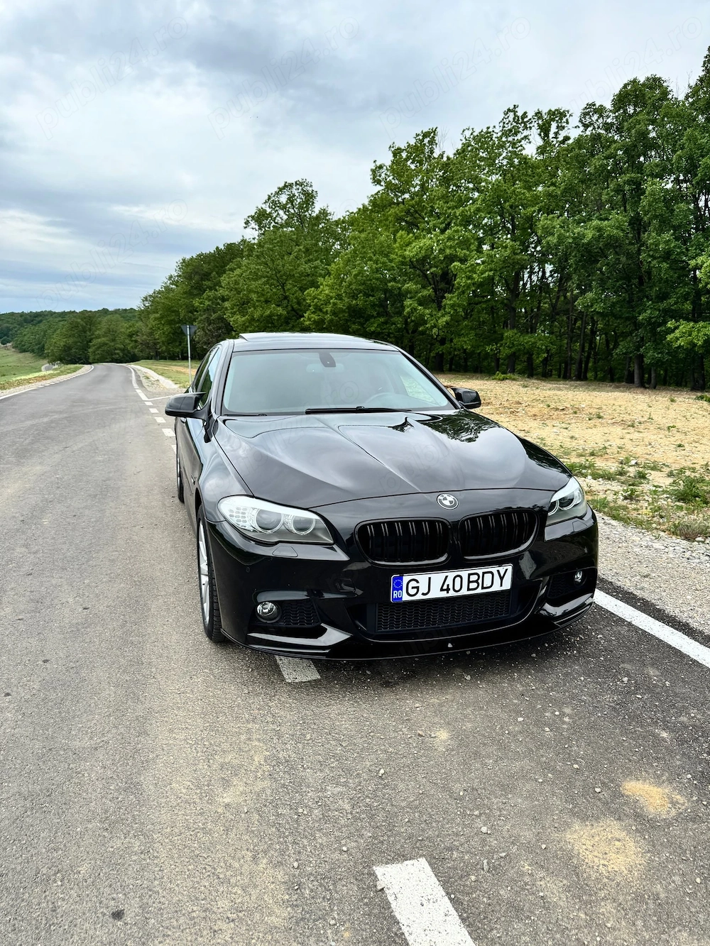 Bmw F10 520 218cp