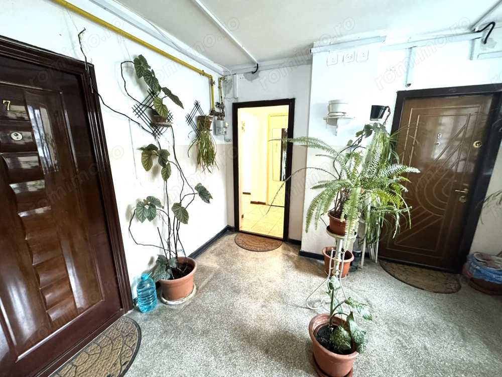 de inchiriat apartament 2 camere, Nord, Judetean, Cameliei