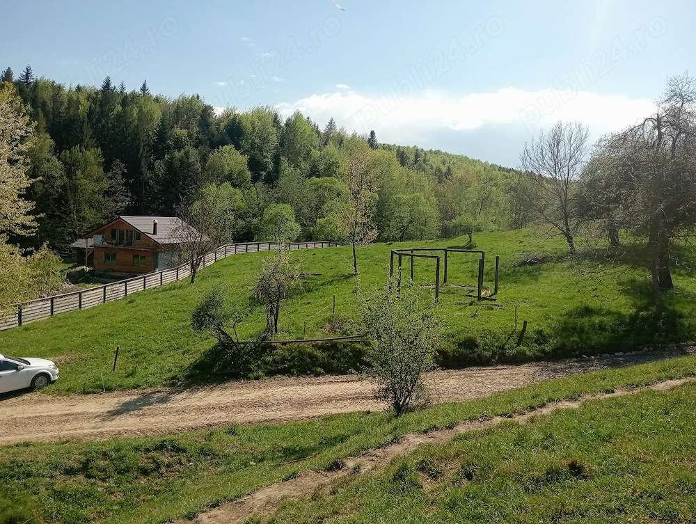Teren de vânzare intravilan Pârteștii de jos-Bucovina 