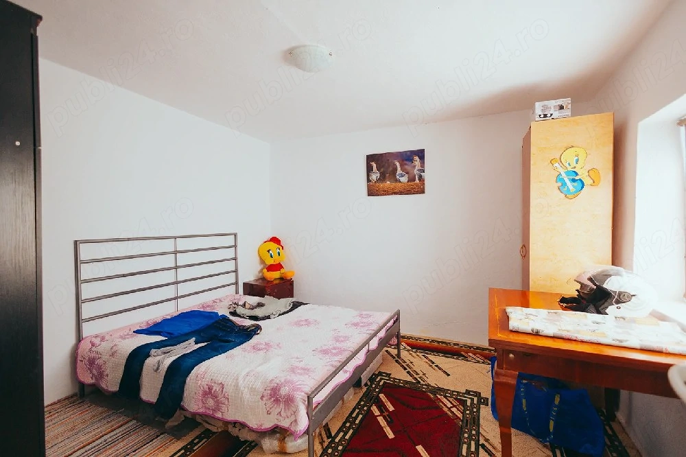 casă batraneasca 