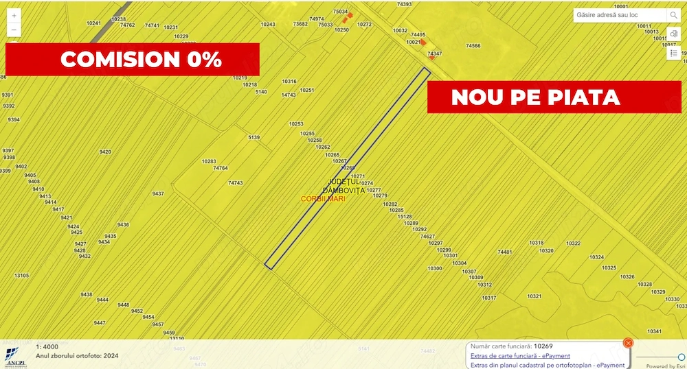 Teren agricol 12.500 mp | Deschidere directă DN61 | Dublu acces | Corbii Mari | Dambovita